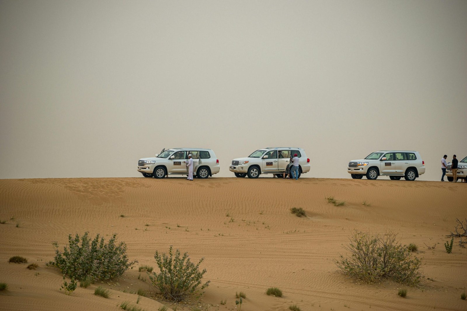 Top 5 Must-Try Activities on a Premium Desert Safari in Dubai