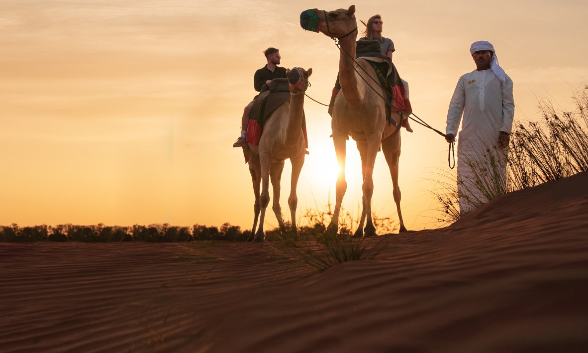 Book Affordable Premium Desert Safari Dubai