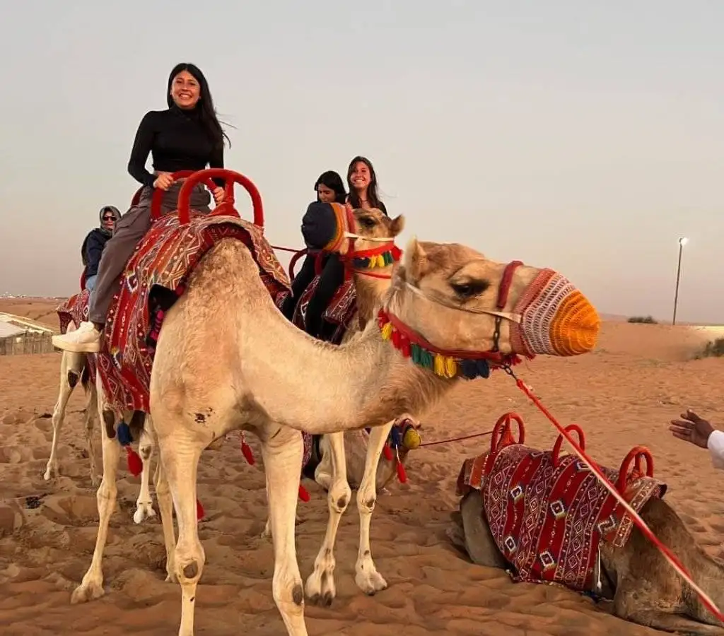 Why Arabian Dunes Tours?